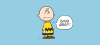 Charlie Brown Good Grief © Peanuts_web header.png