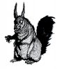 Lycanthrope-Weresquirrel rsz.jpg