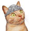 tin-foil-hat-for-cats-0.jpg