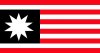 Flag_of_United_Americas.jpg