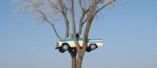 Tree-in-a-truck-featured.jpg