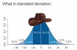 cowboy-hat-standard-deviation-34.jpg