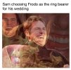 clothing-sam-choosing-frodo-as-r.jpg
