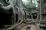 vacation-travel-photos-ta-prohm-angkor-cambodia.png
