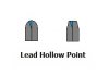 Lead Hollow Point.jpg