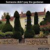 243163-Someone-Didn-t-Pay-The-Gardener.jpg