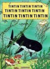 Tintin Tintin.jpeg
