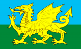 Welsh Flag 2.png