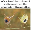 introverts.png