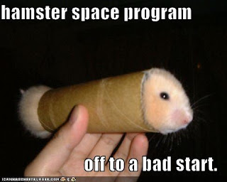 funny-pictures-hamster-toilet-paper-roll.jpg