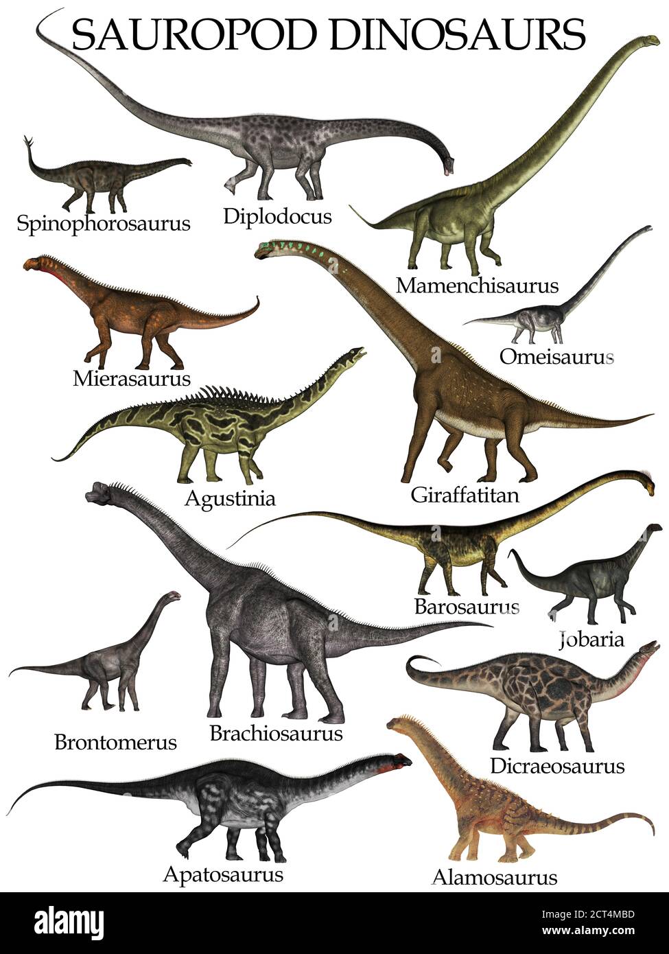 sauropod-dinosaurs-set-3d-render-2CT4MBD.jpg