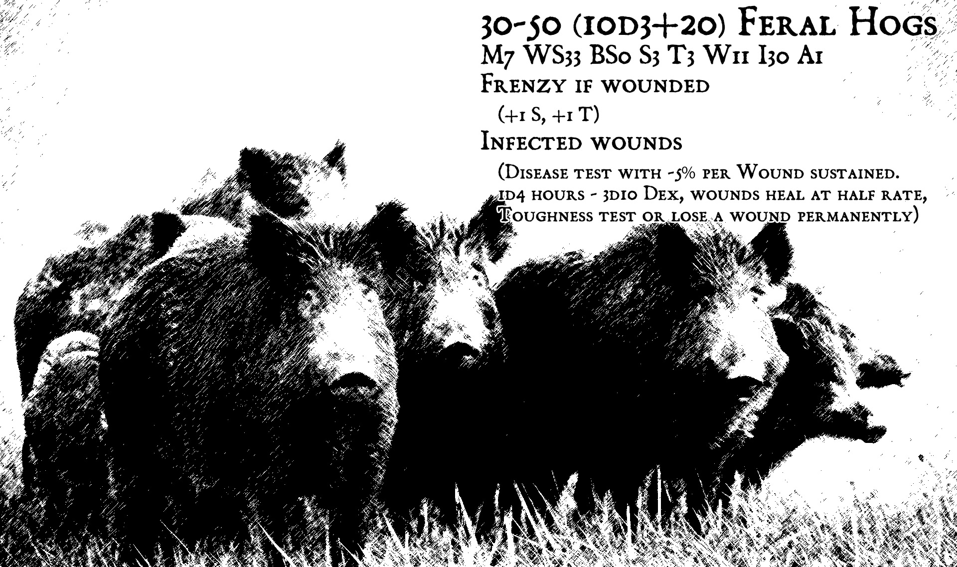 30-50-feral-hogs.jpg